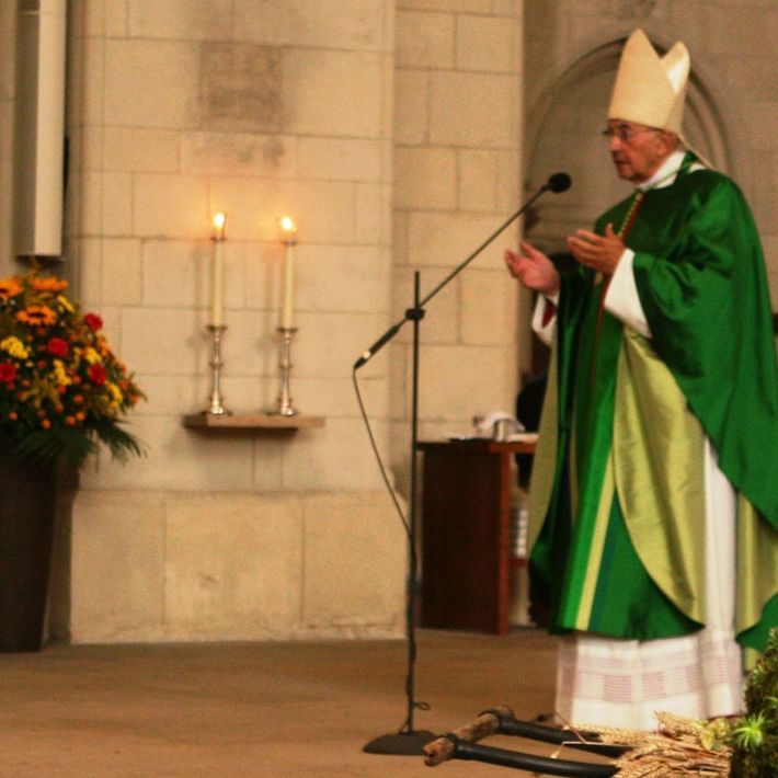 Über das Leben als Gabe und Geschenk sprach Bischof Genn bei der Predigt zum Erntedankfest im Dom.