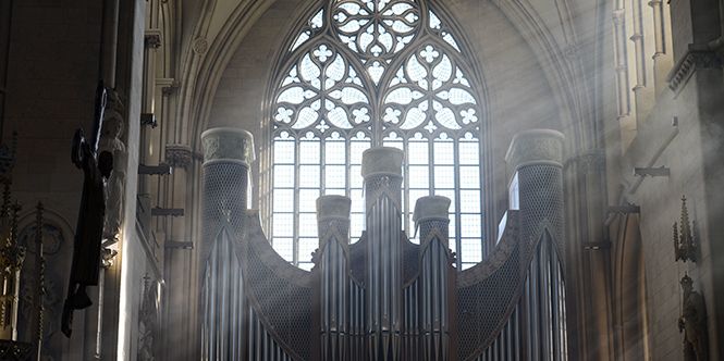 Orgel im St.-Paulus-Dom.